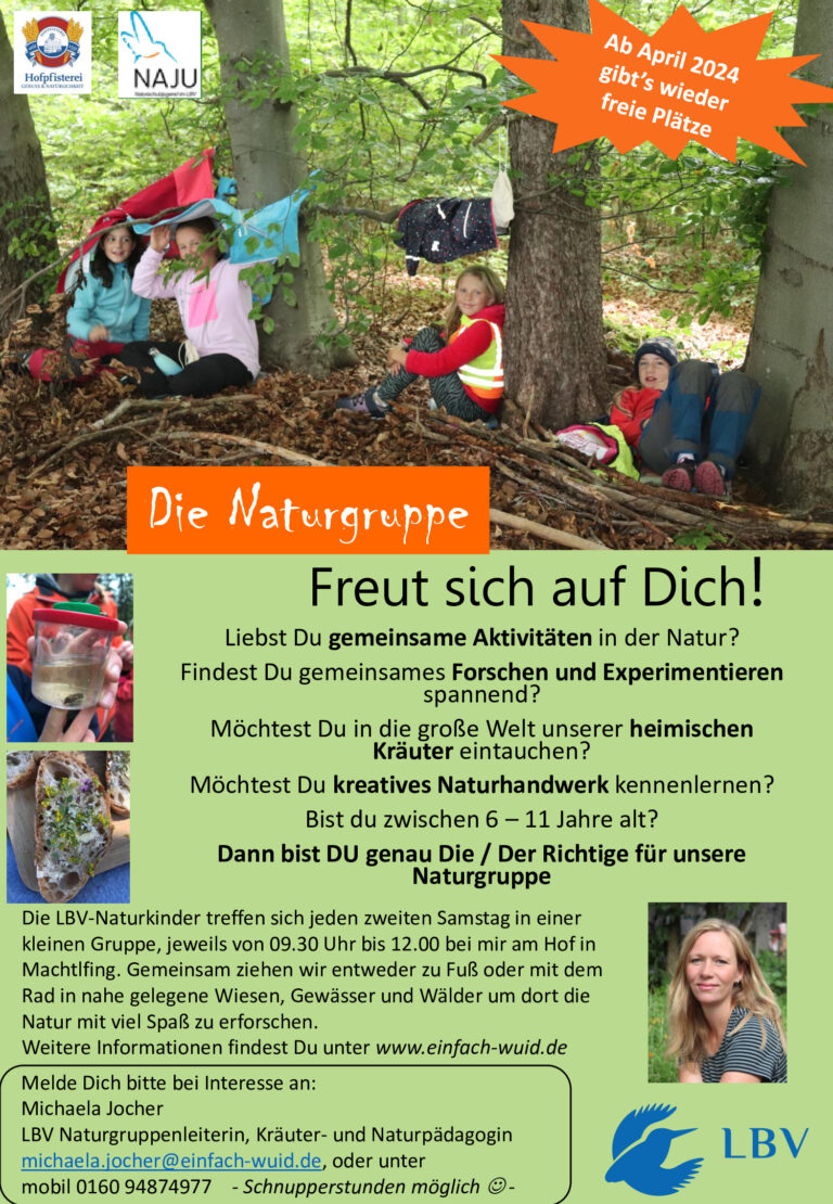 Flyer Naturgruppe sucht Kinder Bahnschrift gruen LBV Logo neu oranges Feld 1
