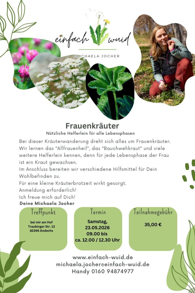 Flyer Frauenkraeuter 2026