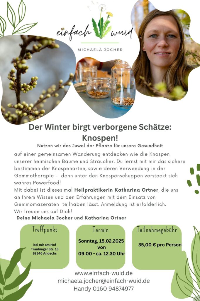 Flyer Knospen 2026