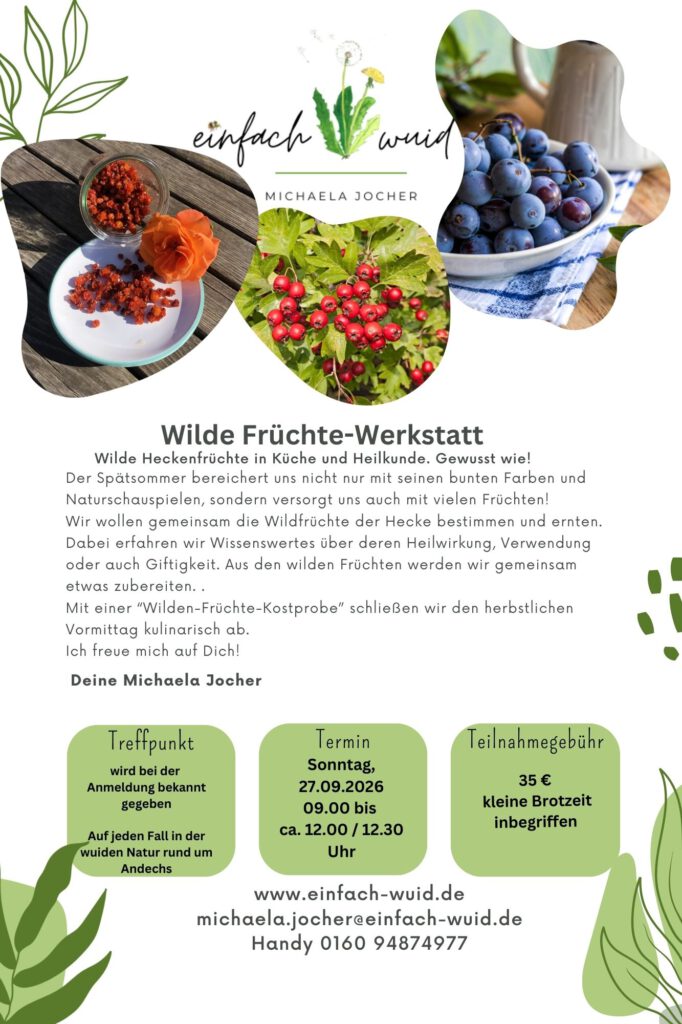 Flyer Wilde Fruechte Werkstatt 2026