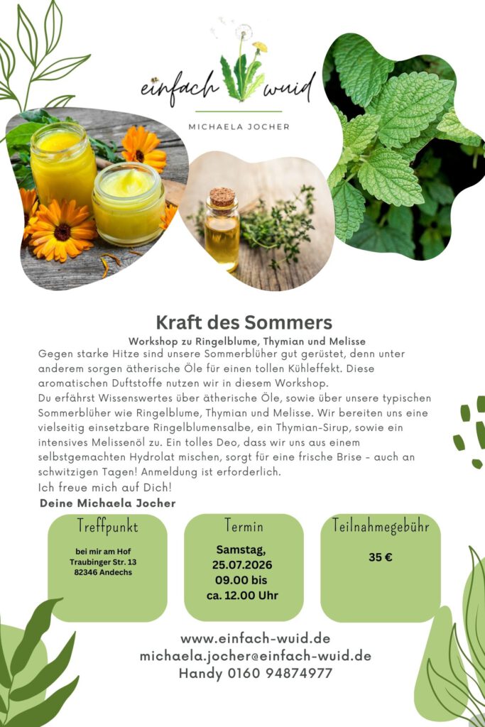Flyer Kraft des Sommers